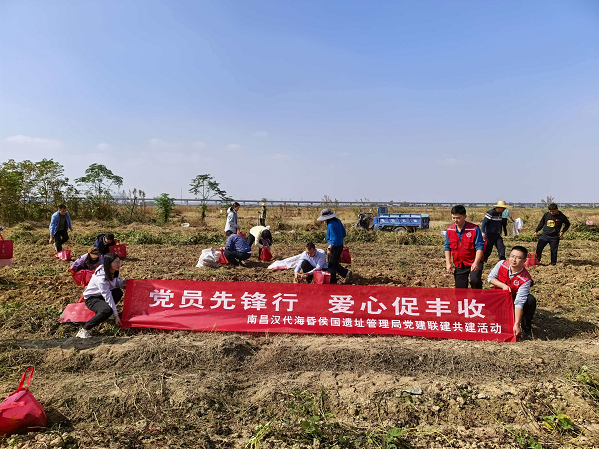 党员先锋行 爱心促丰收 &mdash;&mdash;遗址管理局大党日活动温暖开展